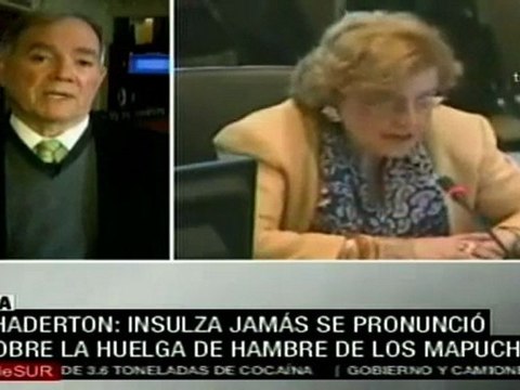 Chaderton: Ni Insulza ni ningún otro puede intervenir en asuntos internos de otros países