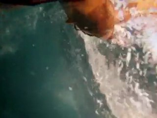 Open Water Swim With Rasmus Henning - Chest Cam