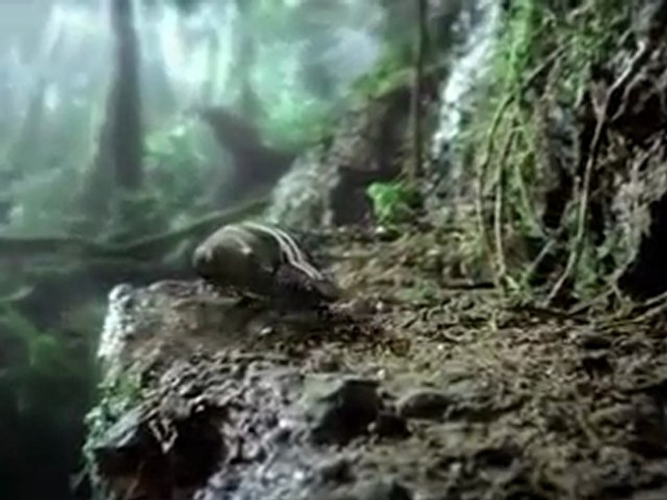 Volkswagen Beetle 2011 Super Bowl TV Ad