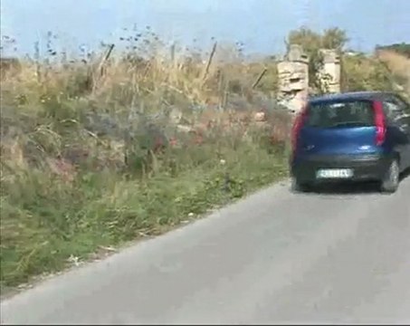 TRANI. Quartiere Stadio, problema randagismo.