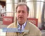 VENDEMMIA 2008. Il punto sulla campagna vitivinicola