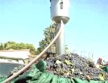 Benvenuta vendemmia 2008: siete pronti ad andar per cantine?