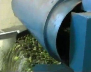 Un' annata coi fiocchi per la produzione olearia