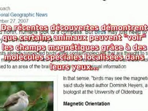 (C) Français - 2012, cercle céréalier de Avebury et Nibiru