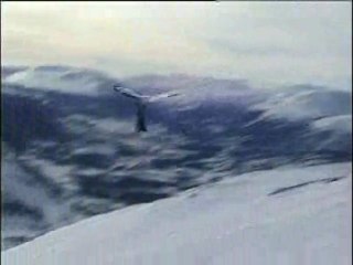 Kiteski -- Kitewing video
