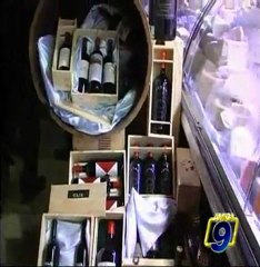 Romanzo "Terre" di Mario Paolo Falcetti - Amica9 Informa