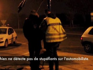 Opération de controles de genfarmerie à Vitry-en-Artois