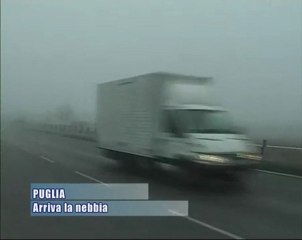 Arriva la nebbia - AMICA9 informa