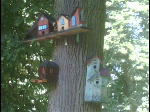 joyeux anniversaire et très gros kiss la m...use