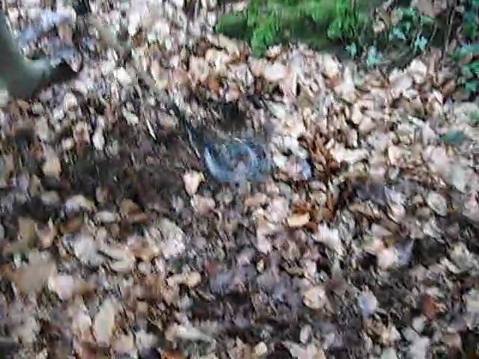 detecteur de metaux remane2