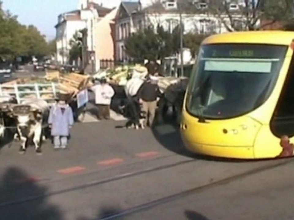 Reportage_Ecomusee_100ansMarchedeMulhouse
