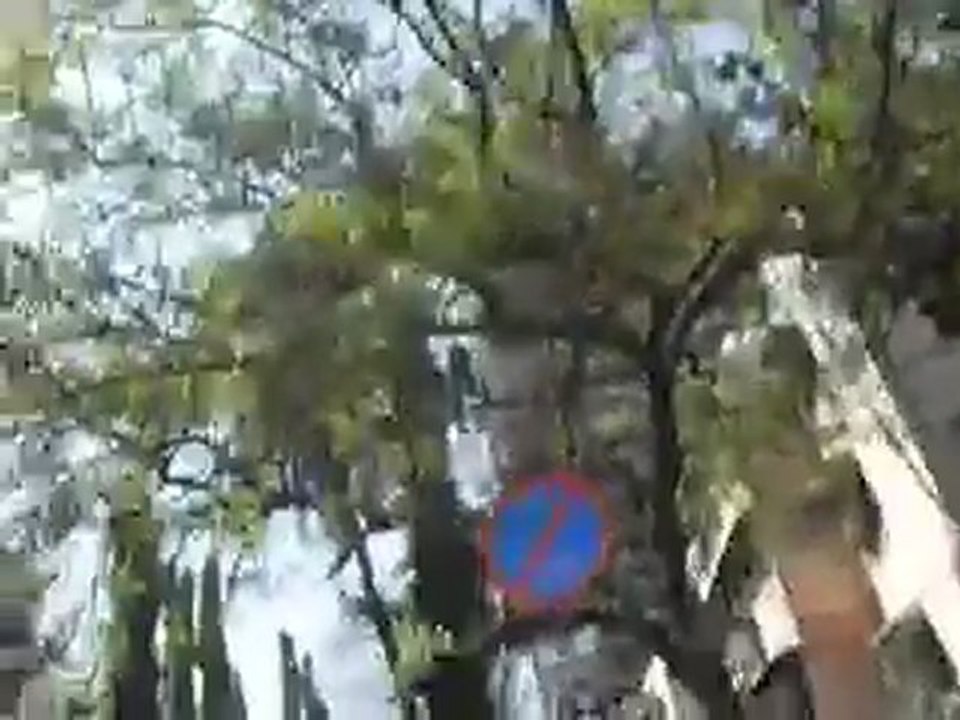 Goregon video