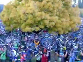 Documentário Massa Crítica (parte 1)