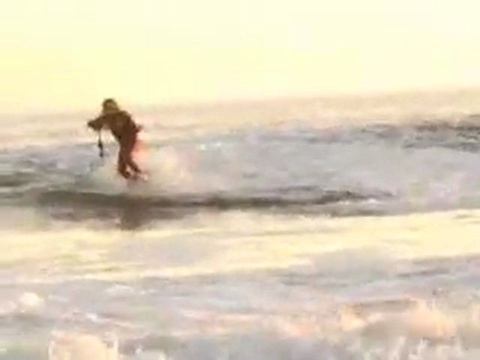Shark surfer