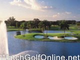 watch uk World Golf Championships Open golf pga championship