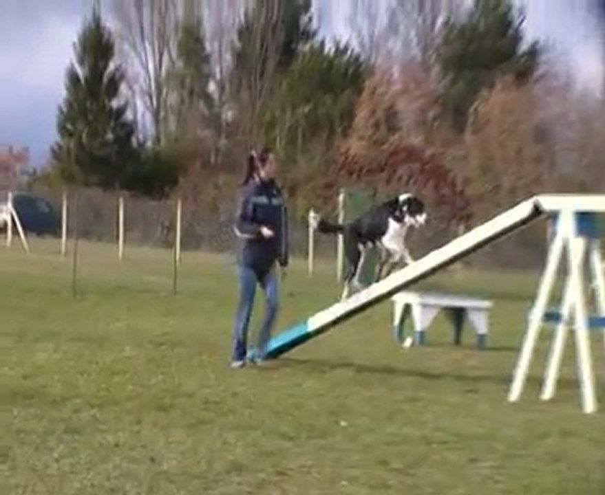 12 fevrier 2011