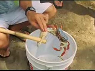 kelly Slater commericial for Fuel TV