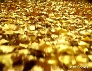 MTBing in NZ Looks Epic for Fall/Winter 2007 🚵‍♂️