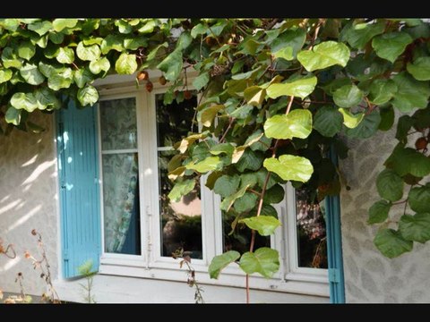 SURVITRAGE MAGNETIQUE ET DOUBLE VITRAGE DE RENOVATION