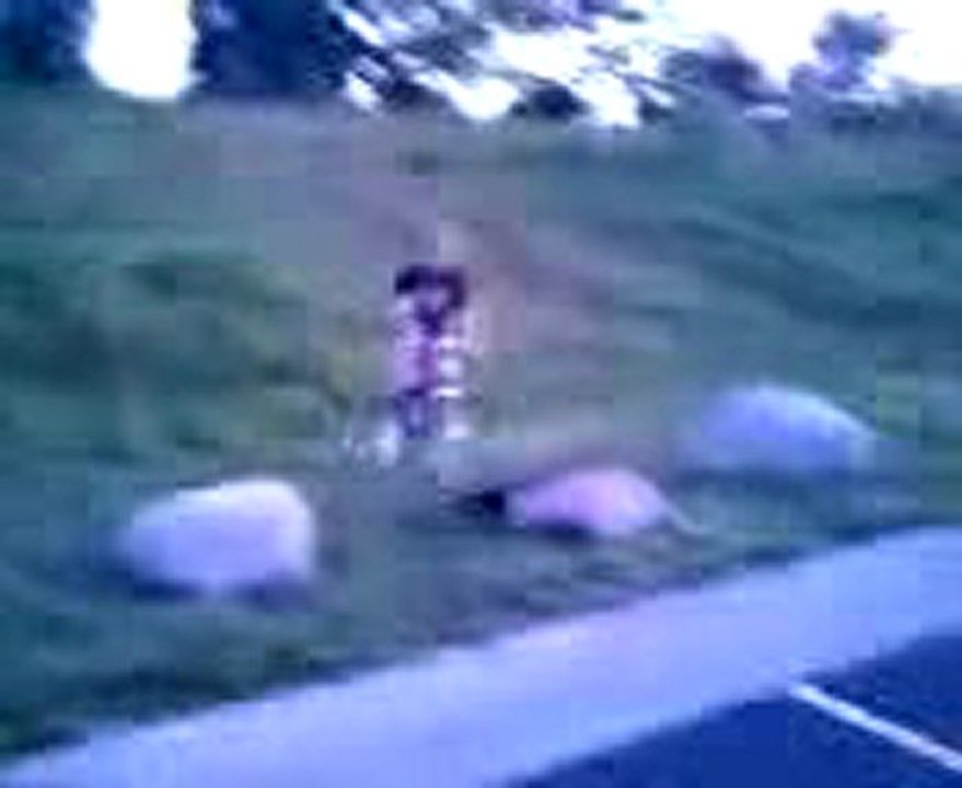 Bike crash