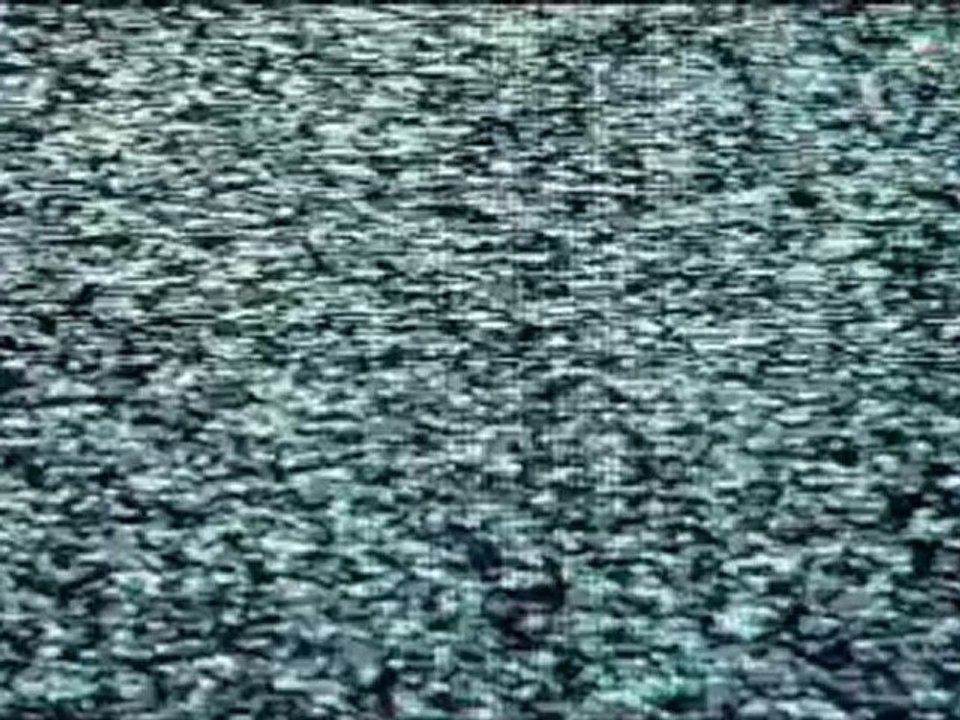 Evil Things Trailer