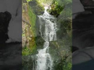 Her insan Ölecek yaşta