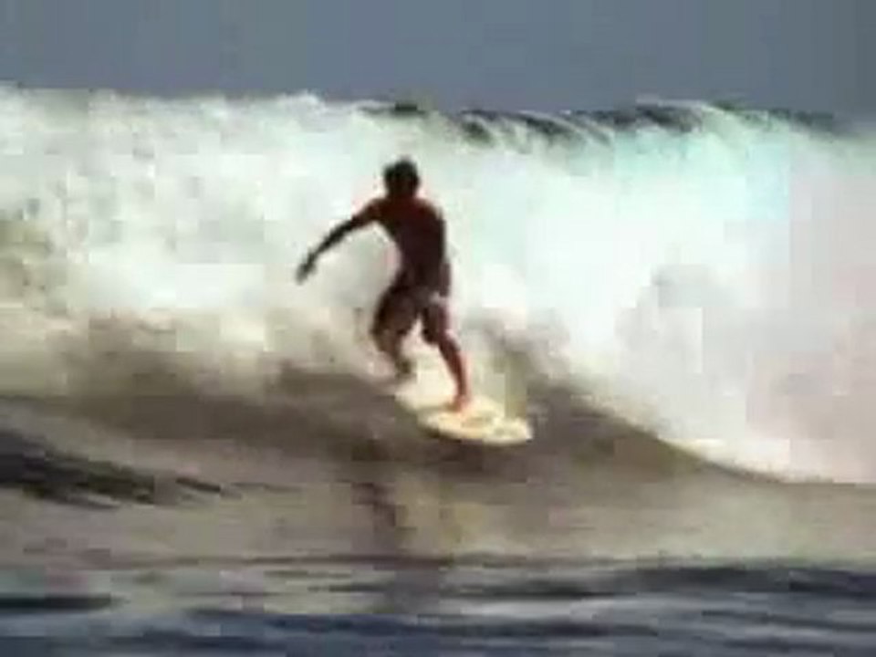 Surfing Collection
