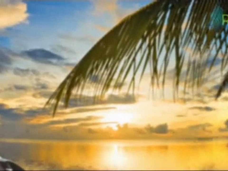 Mahmut Efendi Hazretleri