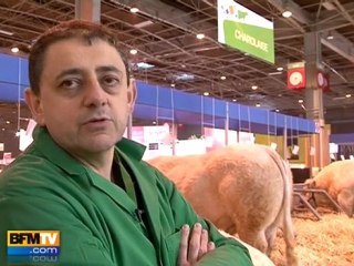 Salon de l’Agriculture : le stress des animaux