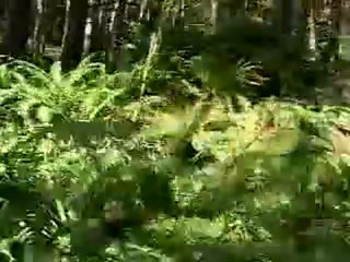 cable cam extreme DH