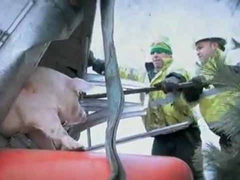 Horribly WRECKED Semis, Pickup Trucks and More!