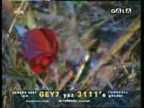 Kur$un YeDim soL yaNımDa