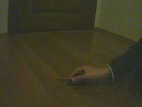 tech deck shove it and ollie