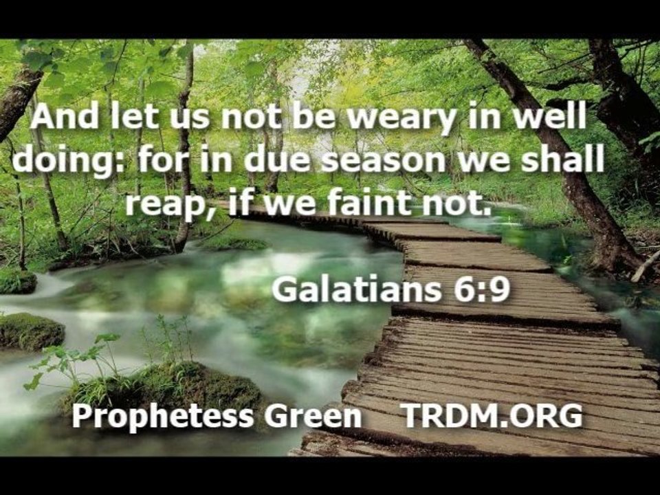 I'm Worth more than You Think Prt. 2