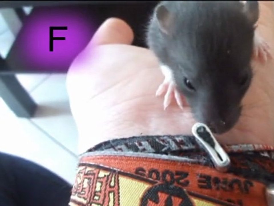 F