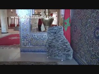 Plaques Décorative en marbre fossilisé d'Erfoud