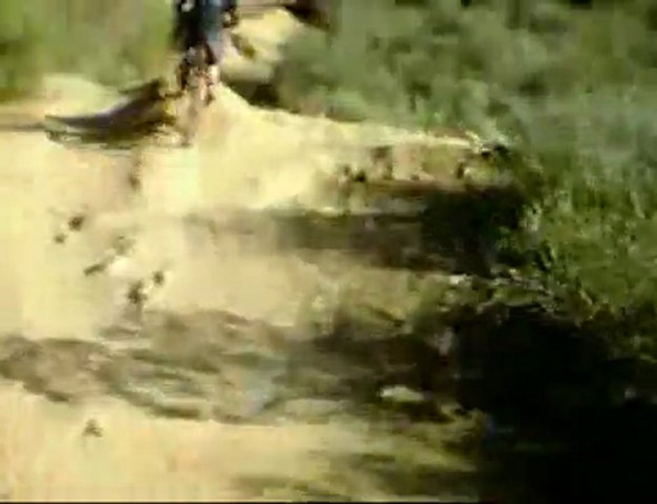Ted Williams Jumps