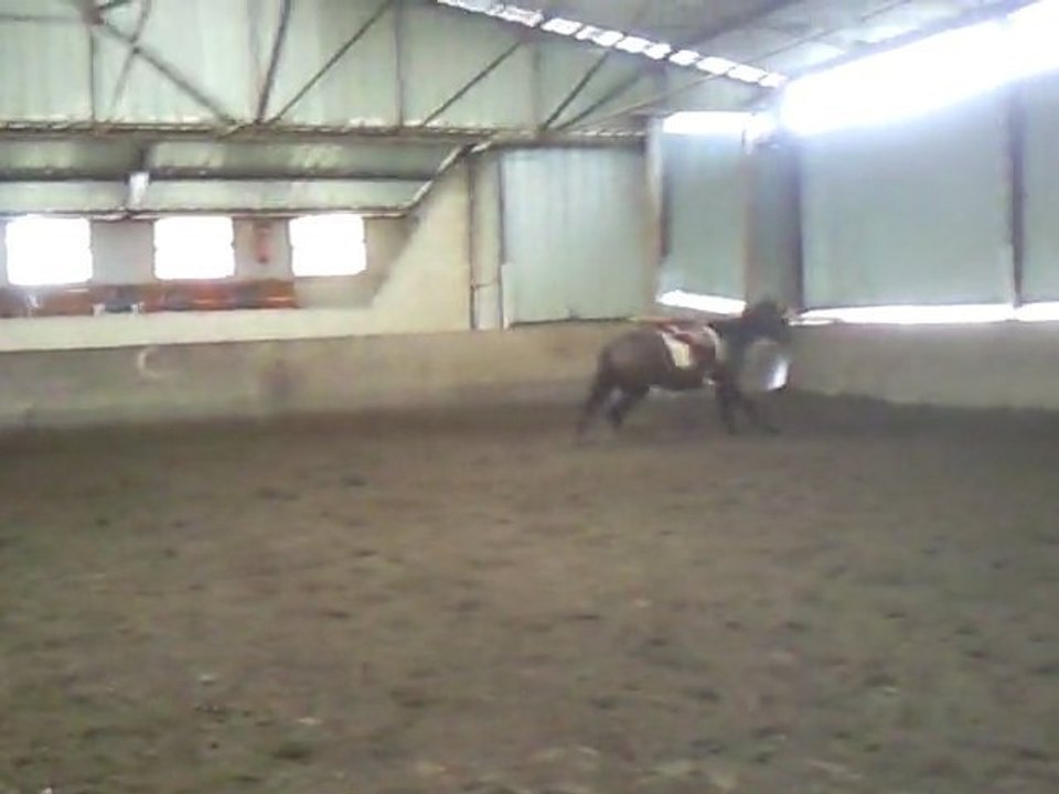 Vivaldie - Première fois avec la selle ca promet ...