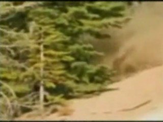 THE PRO'S CRASH AND BURN