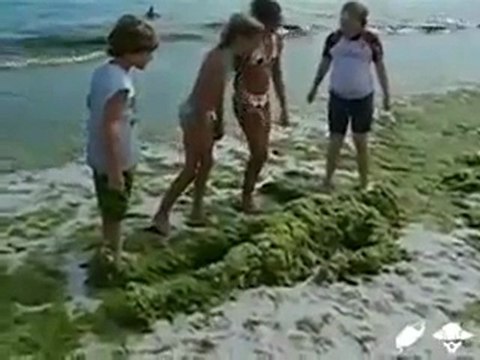 İnsanın Başına Ne Gelirse Meraktan Gelir