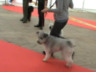 E-mail allures BOURGES 2011