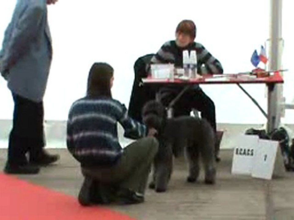 Echo présentation+allures BOURGES 2011