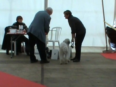 Choco présentation BOURGES 2011