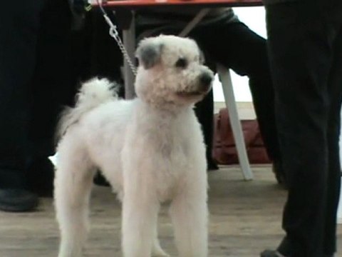 Choco présentation 2 BOURGES 2011