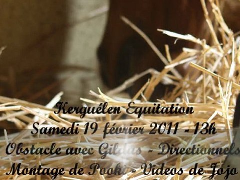 Kerguélen - Samedi 19 Février 2010 - 13h