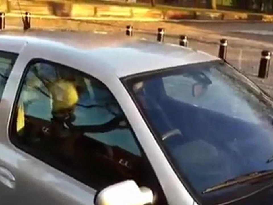 Renault Clio Sport 2.0 182 jean