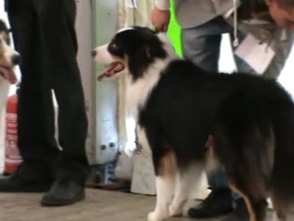 Obi allures BOURGES 2011