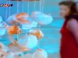 sibel bilgiç-alışamadım