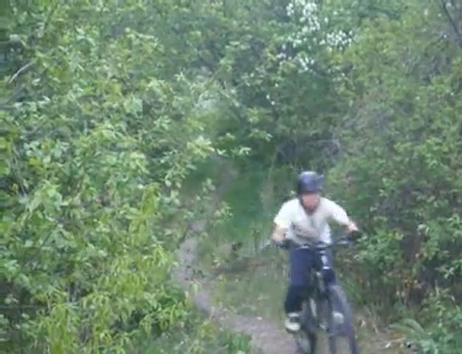 local trail sesh