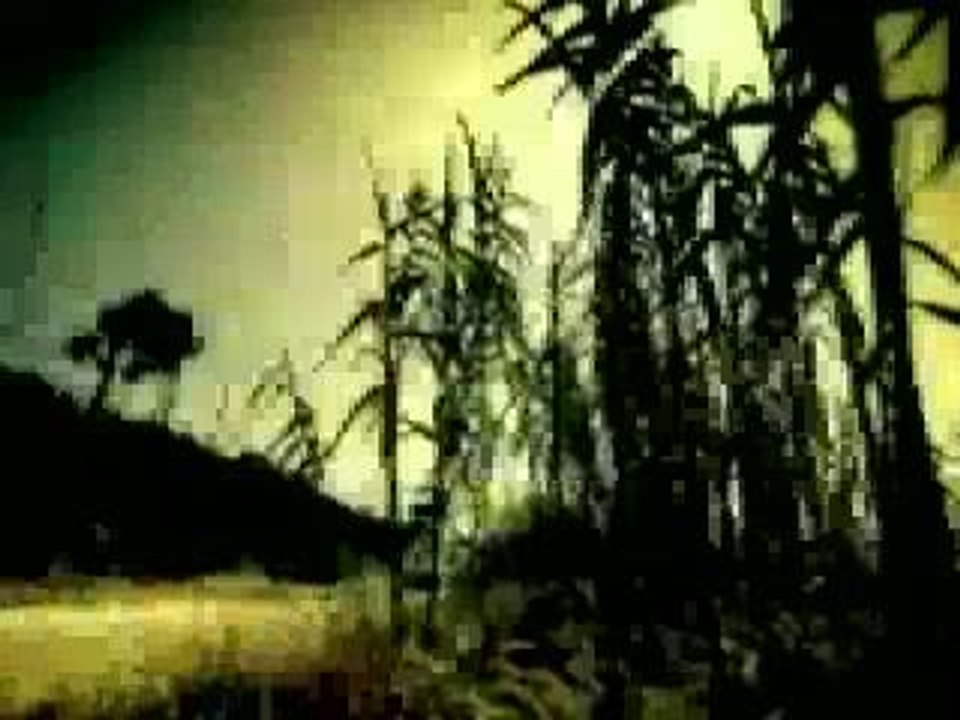 Shifty - Slide Along Side